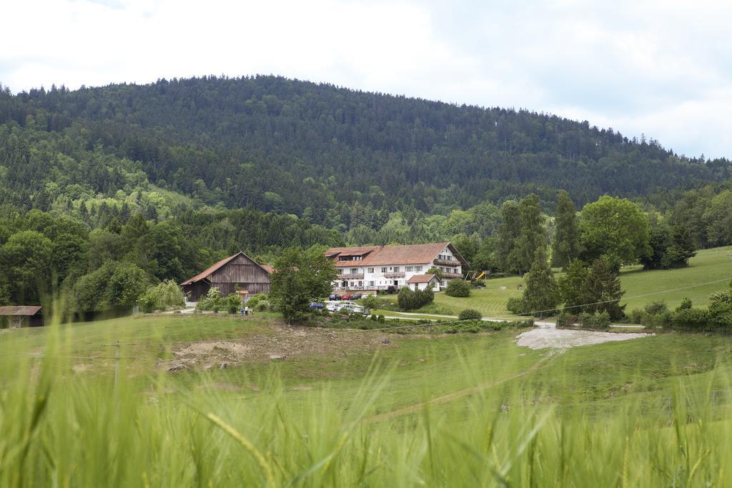 Wild-Berghof Buchet Hotel Bernried Værelse billede